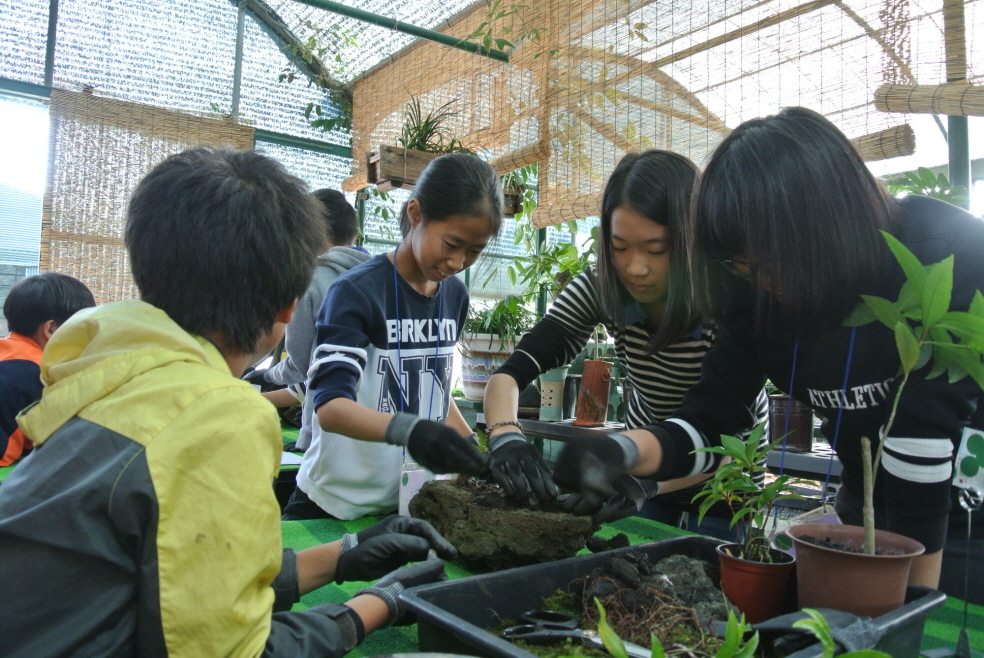 2015 농촌교육농장 시범운영