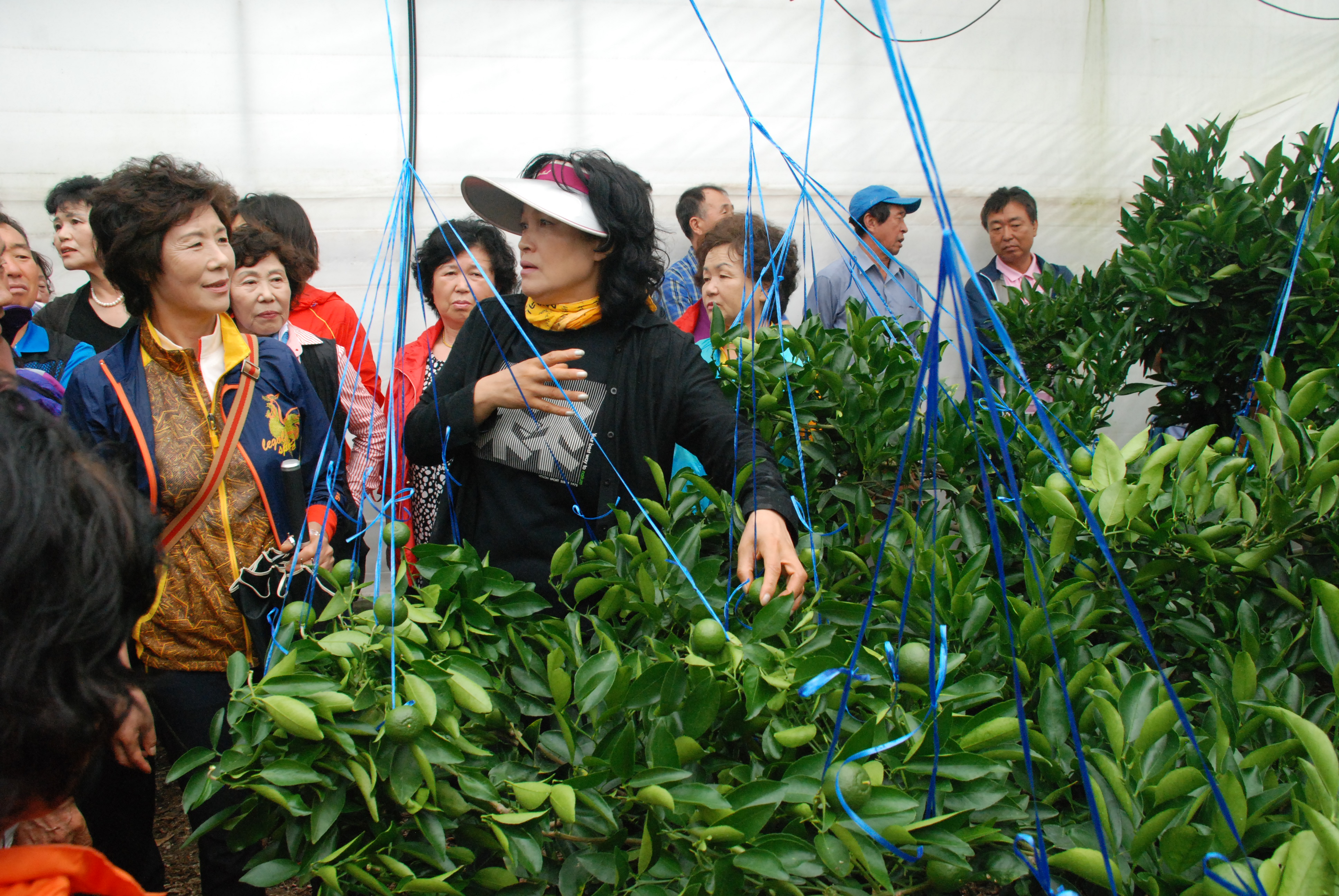 표선천혜향연구회 교육 및 현장연찬회