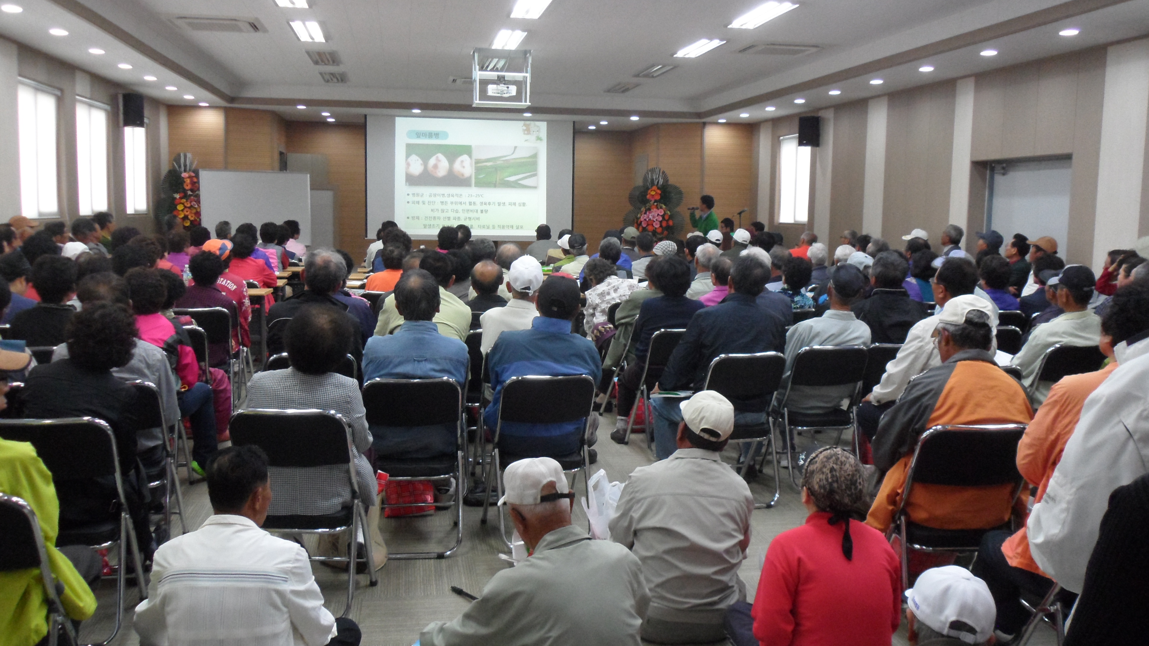 고품질 마늘 재배기술 교육