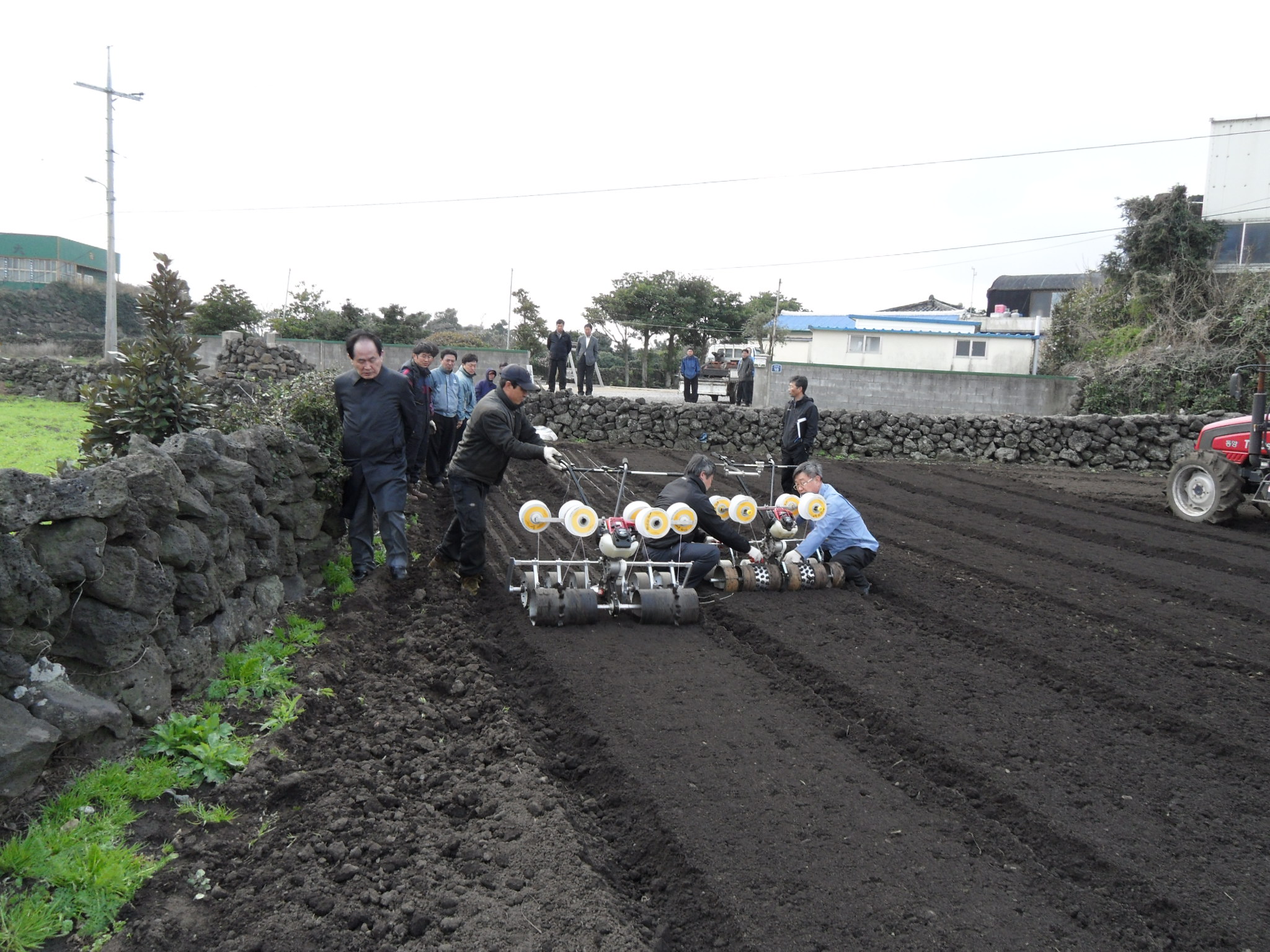 6조식 씨앗테이프 파종기 시연현장