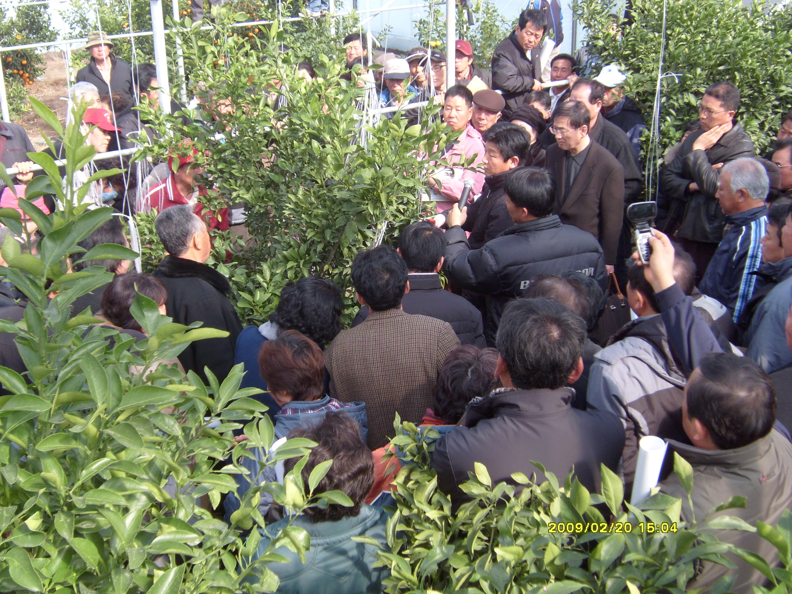 한라봉전정교육