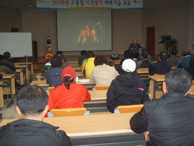 딸기재배기술교육