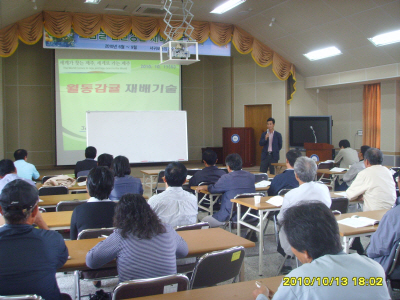 월동비가림 감귤재배기술 교육(2010.10.13)
