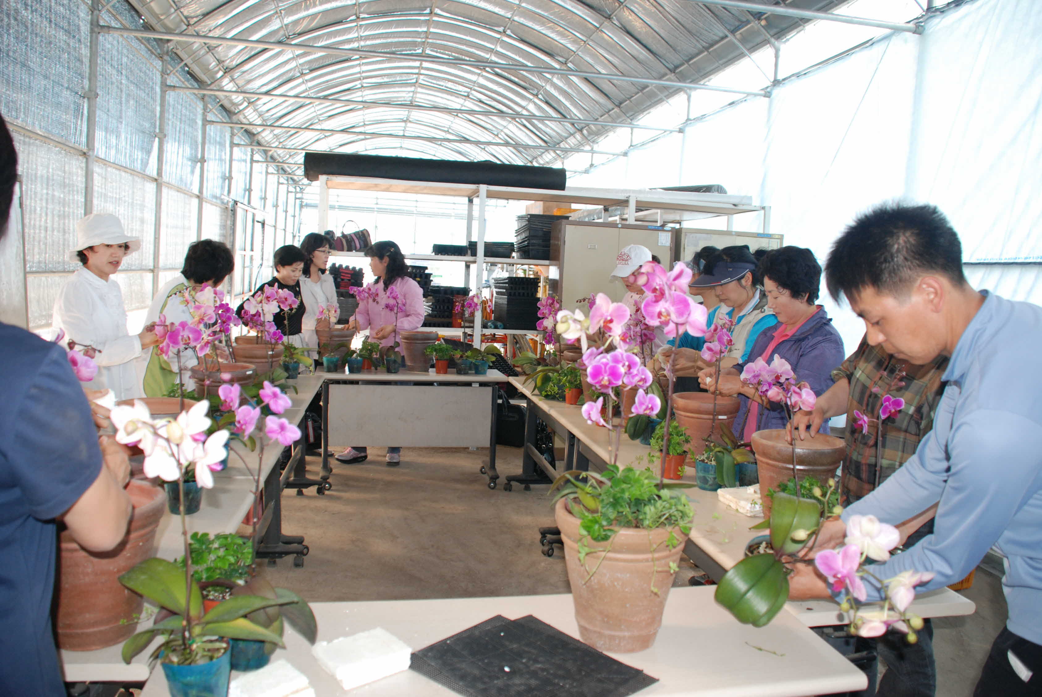 가정원예활동생활화교육