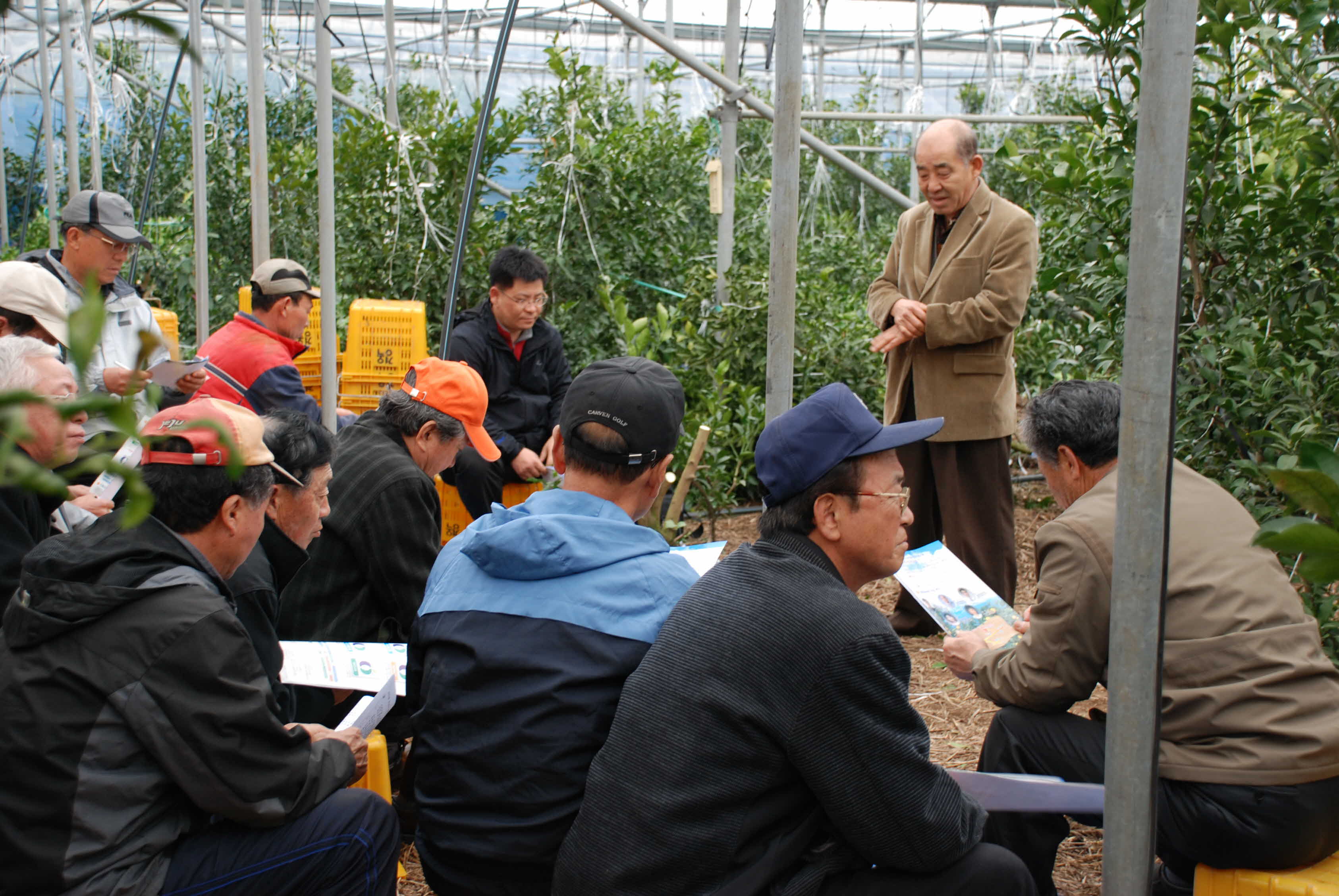 성산시설만감류연구회 연찬현장