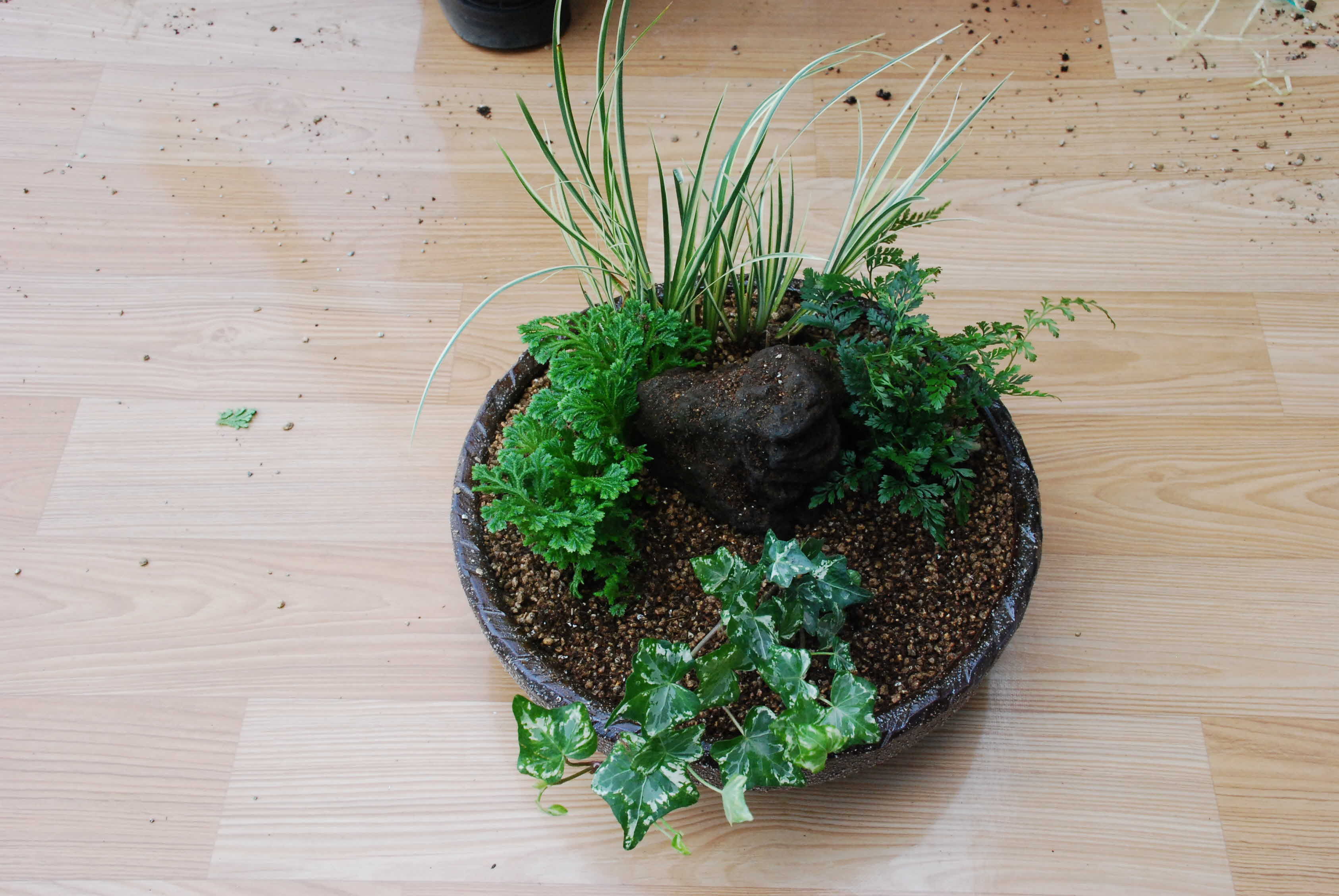 다문화가정 원예활동 생활화 교육