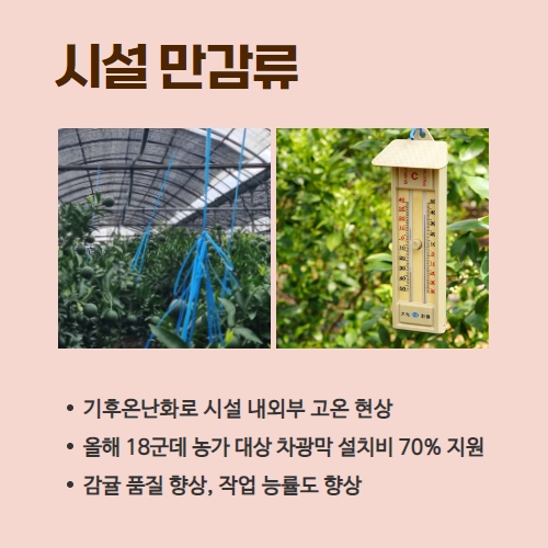 31.1분뉴스_만감류차광막 3.jpg