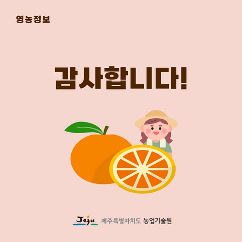 9.1분뉴스_감귤신품종 5.jpg