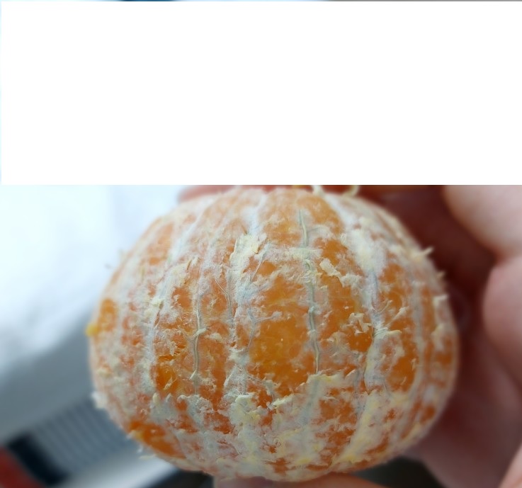귤