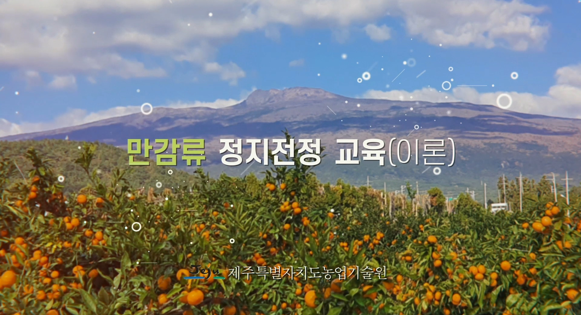 만감류 강의