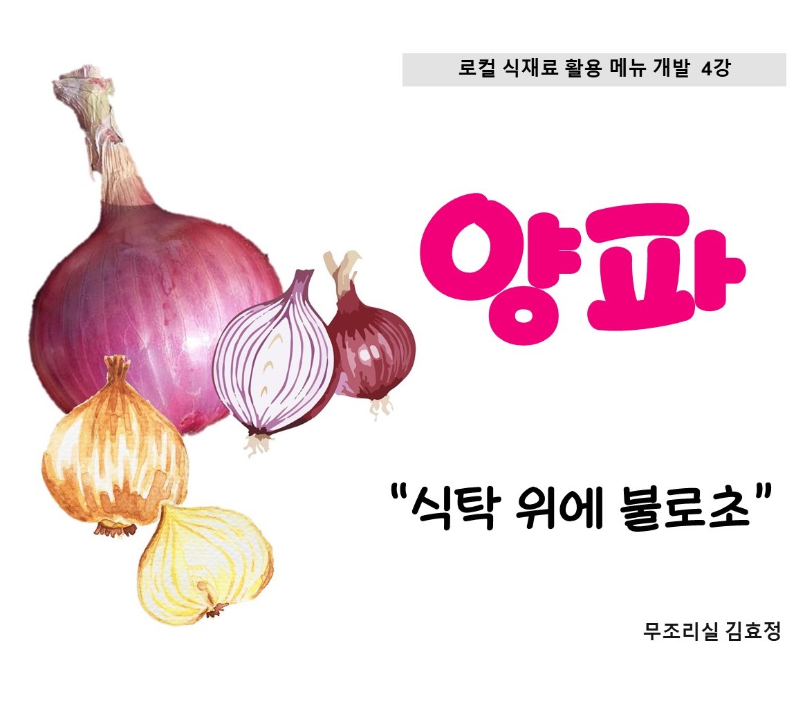 로컬 식재료활용 메뉴 개발 교육 제 4강 양파