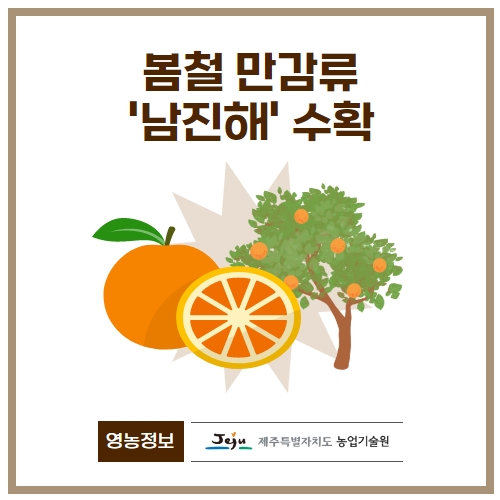 14.1분뉴스_남진해 1.jpg