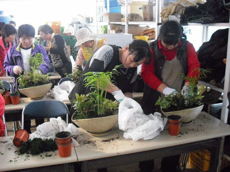 2010 생활원예강좌 2회차