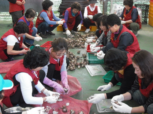 지역농특산물이용 전통음식교육1