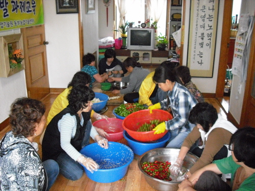 생활기술 능력개발 과제교육