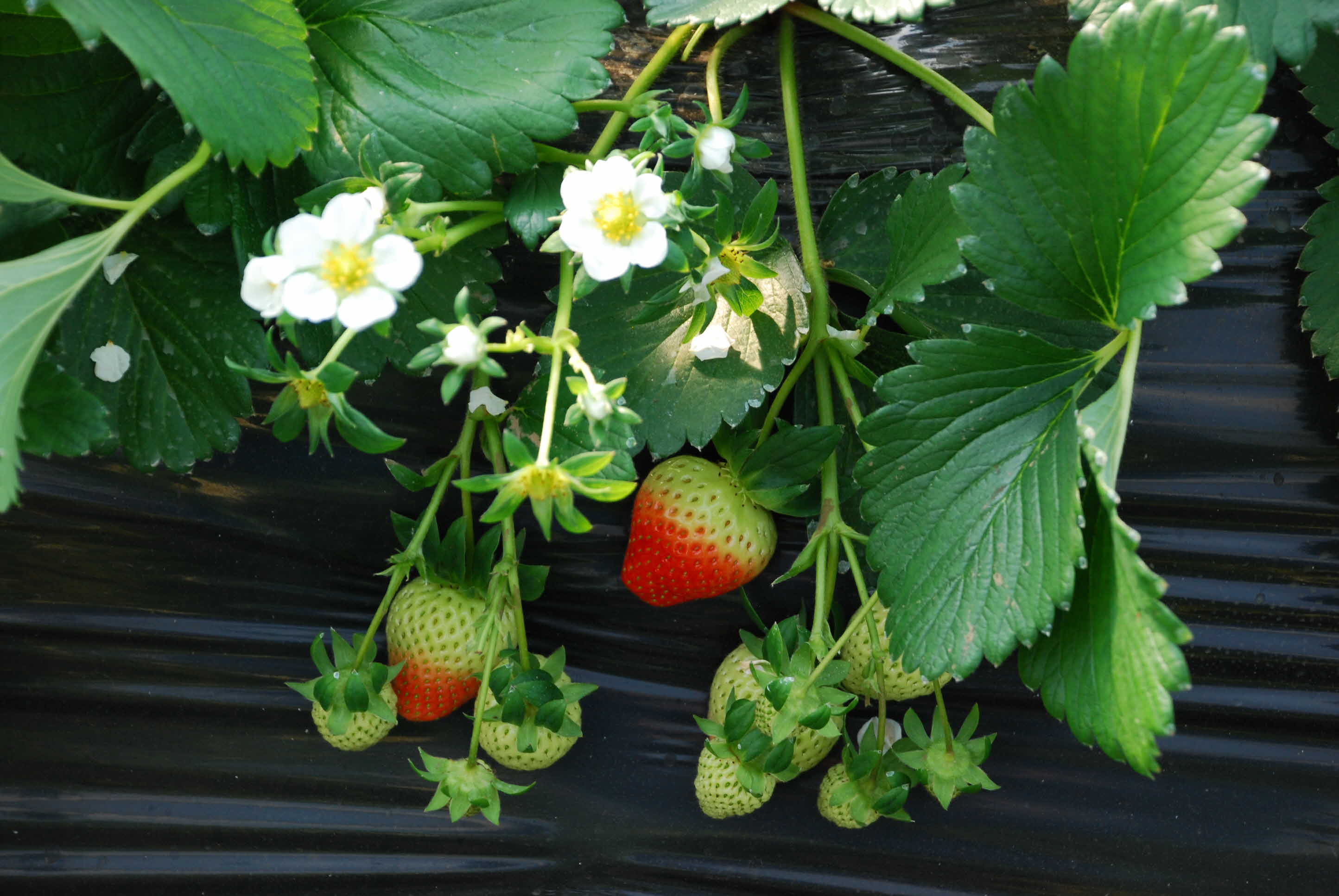 신재생 에너지 홍보관 개관