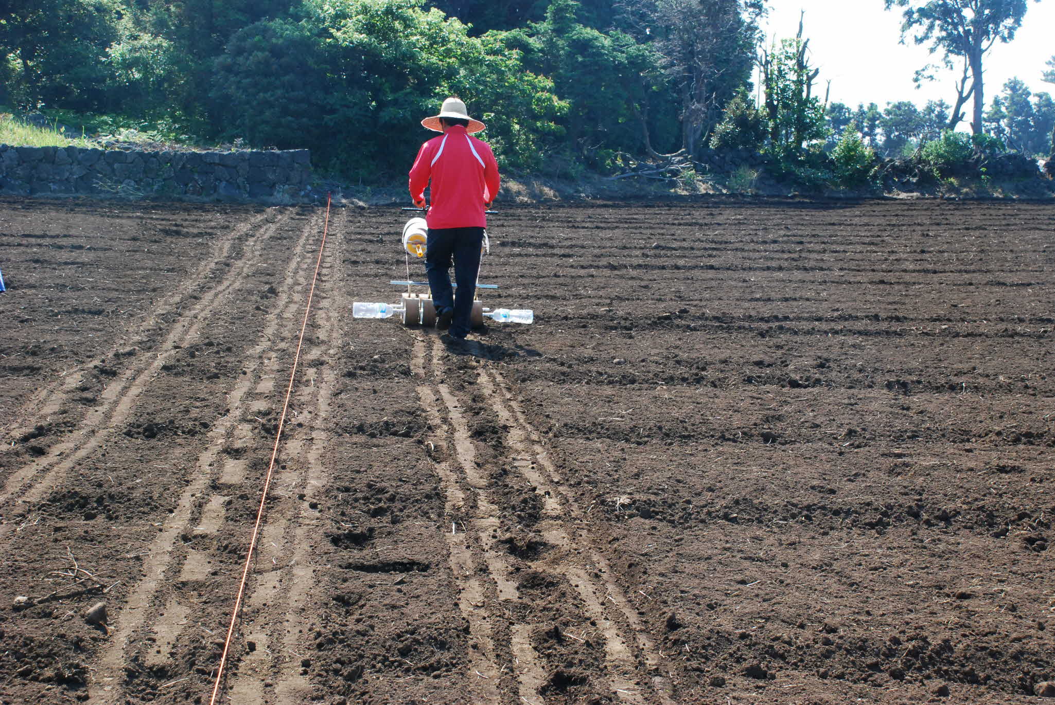 씨앗테이핑 이용 콩 파종