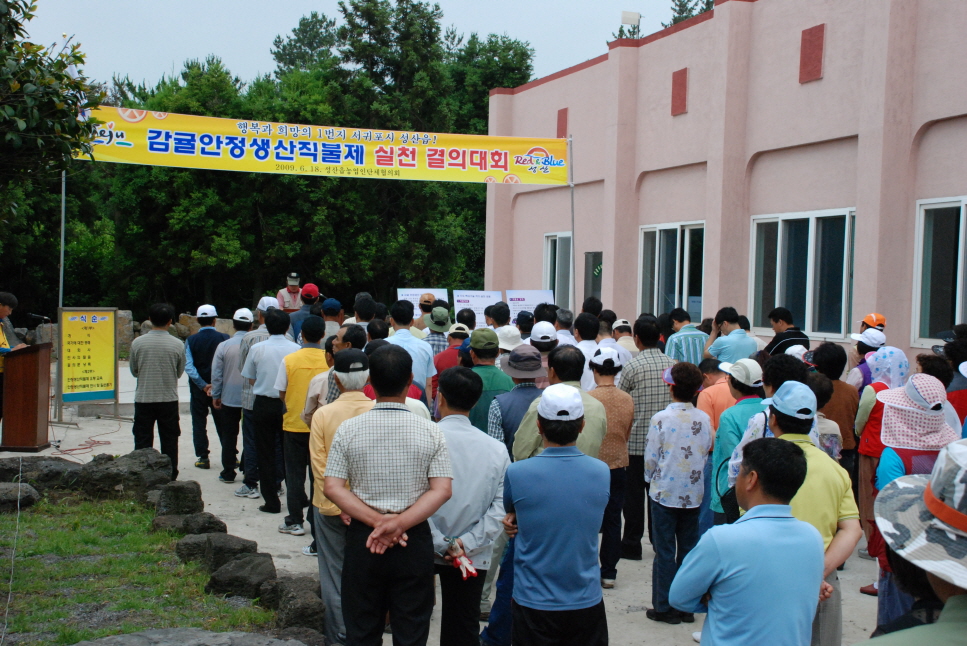 감귤안정생산 결의대회