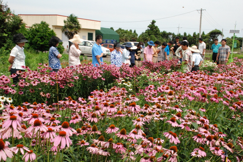 동부농업기술센터 실증포장