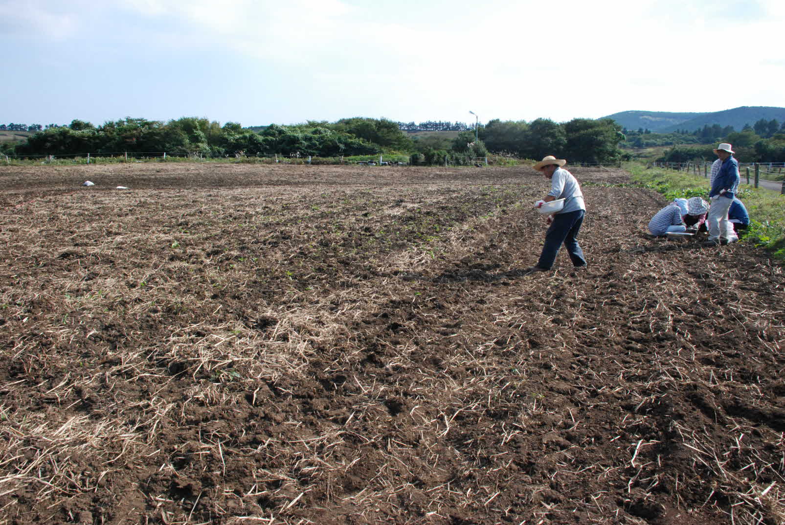 동부지역 경관농업