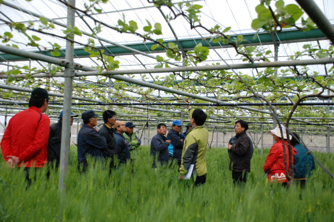 제주동부한라골드키위연구회 연찬 현장