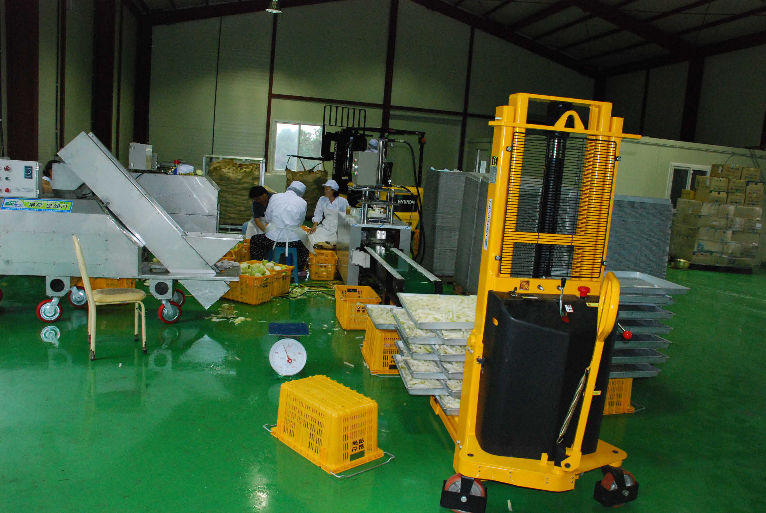 무특성화 사업-무말랭이 건조개선