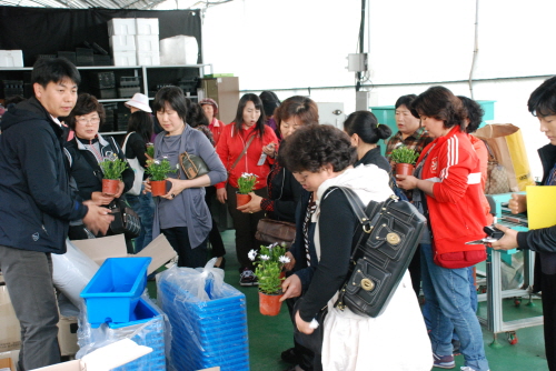 도시농업 활성화 생활원예강좌2