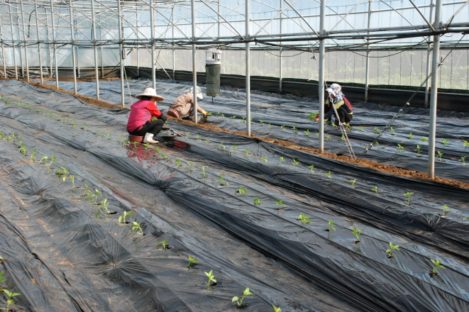 센터 실증하우스 정식 현장
