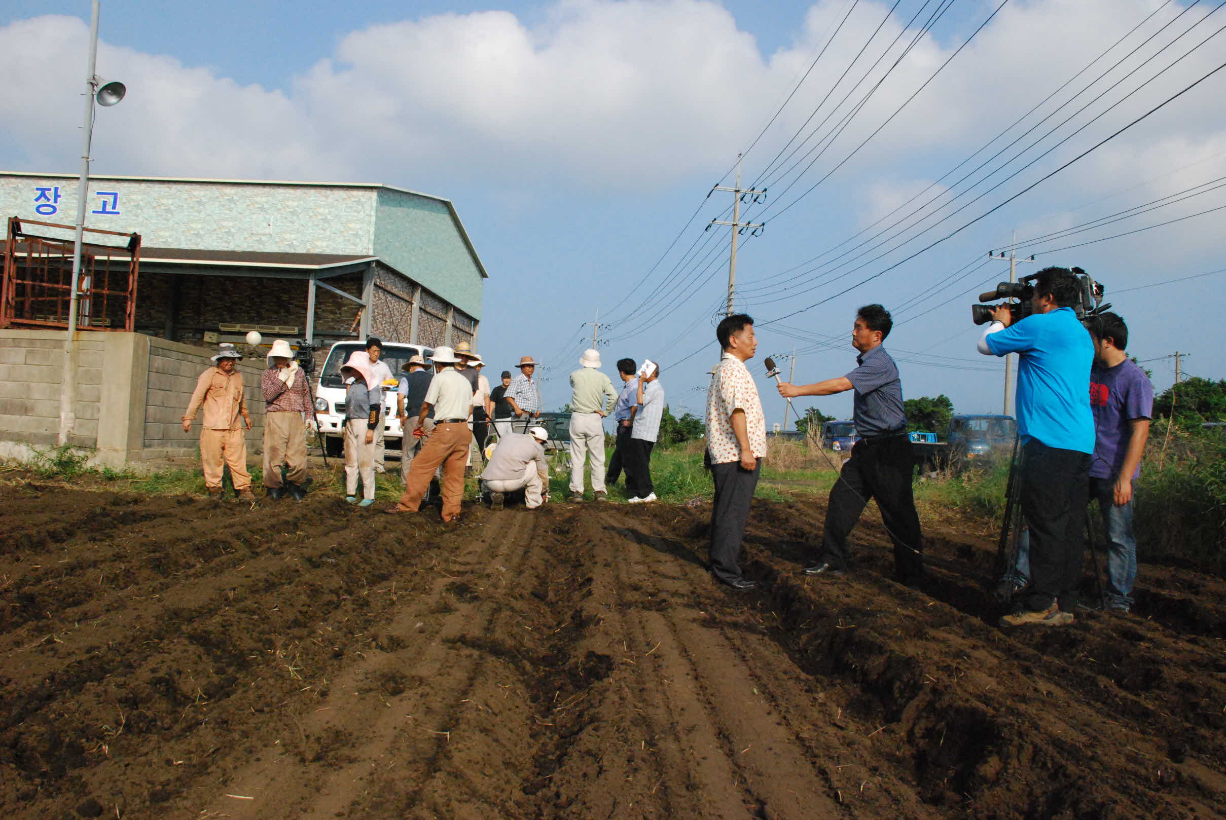 씨앗테이핑 파종법 연시현장
