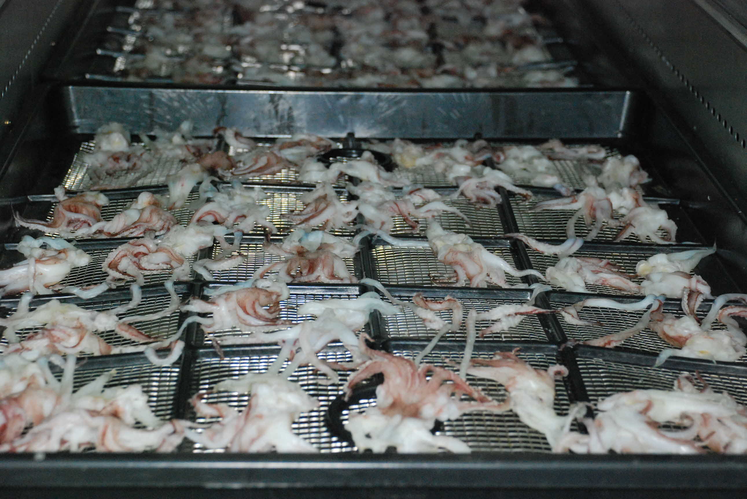 에너지 절감형 다목적 건조기 이용....