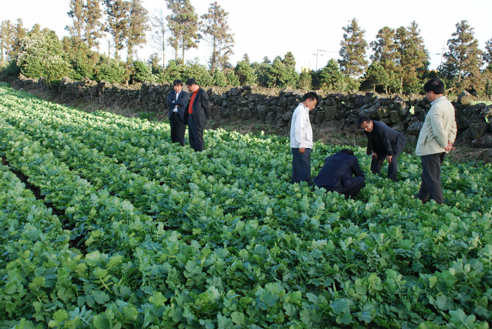 일본씨앗테이핑 관계자 방문