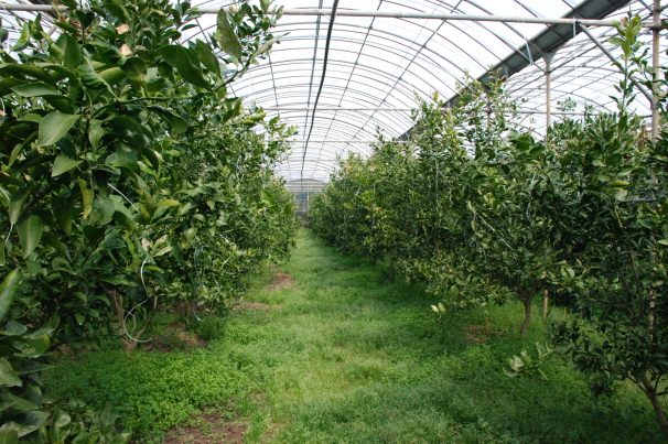 제주미래농업CEO연구회 순회연찬회 현장