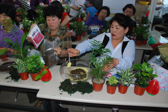 2010 생활원예 4회차