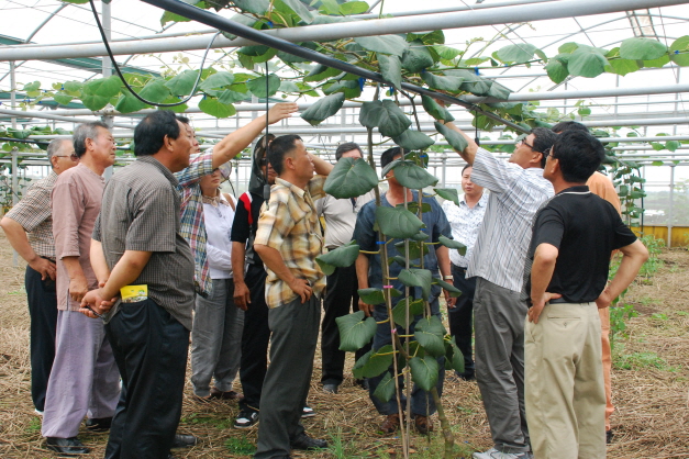 동부 한라골드키위연구회 연찬회 (2)