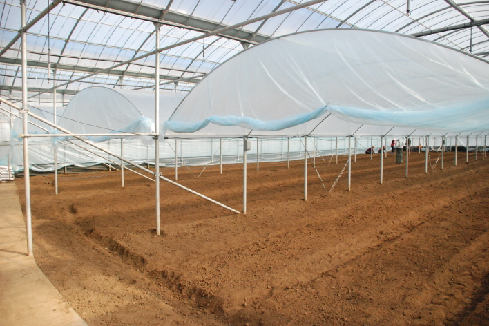 겨울철 2중하우스 설치