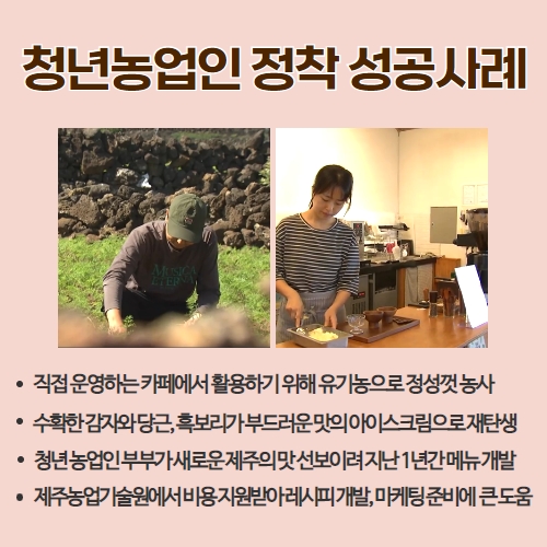  41.1분뉴스_제주미래청년농부 3.jpg