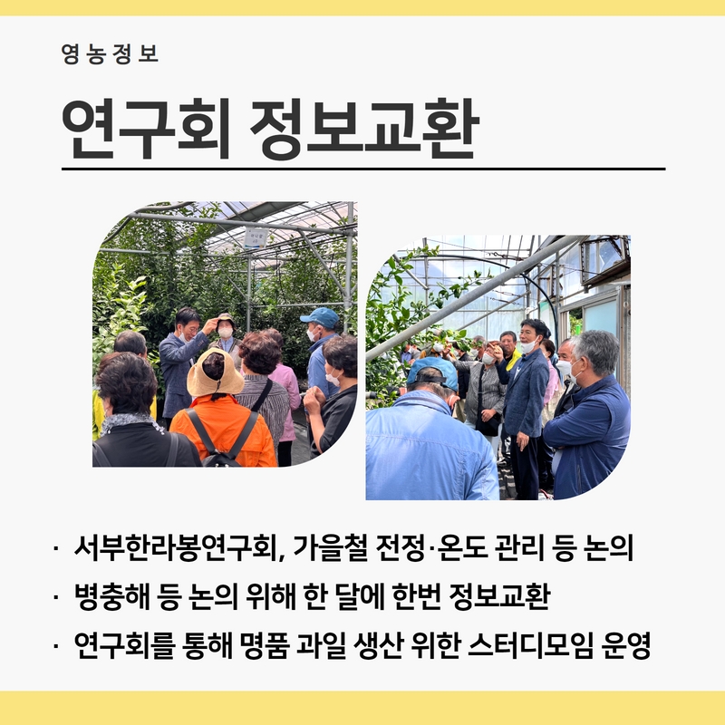 연구회2.jpg