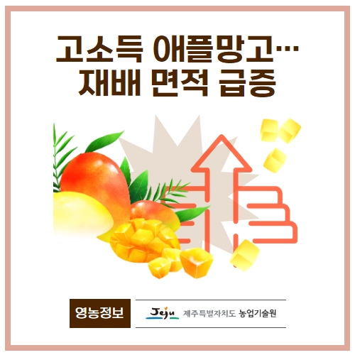 35.1분뉴스_고소득애플망고 1.jpg