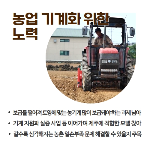  37.1분뉴스_마늘파종시작 4.jpg