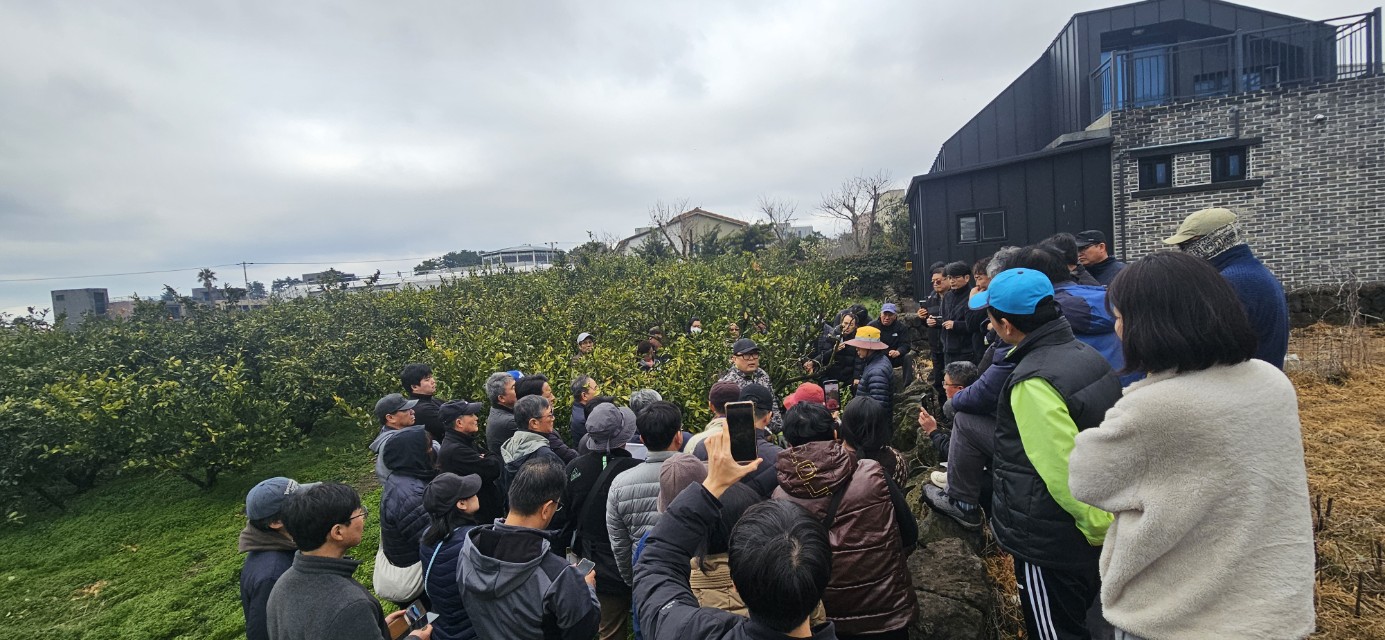 2026년 감귤류 정지.전정 기술교육 추진-10회차