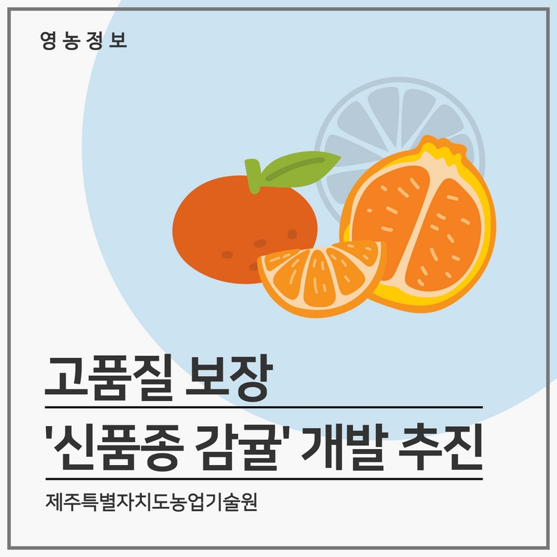 신감2.jpg