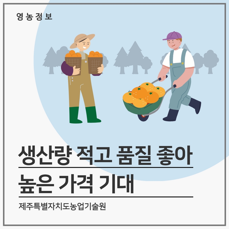 감1.jpg