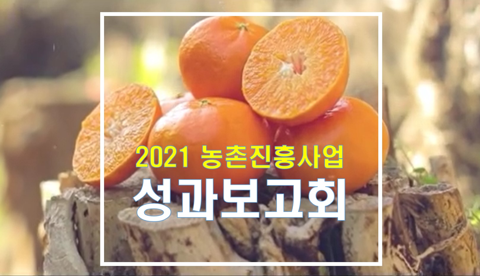 2021 농촌진흥사업 성과보고(제주특별자치도농업기술원)