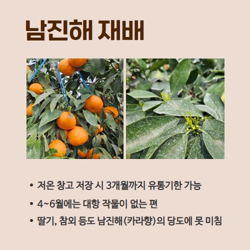 14.1분뉴스_남진해 3.jpg