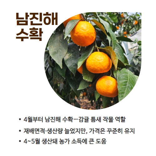 14.1분뉴스_남진해 2.jpg