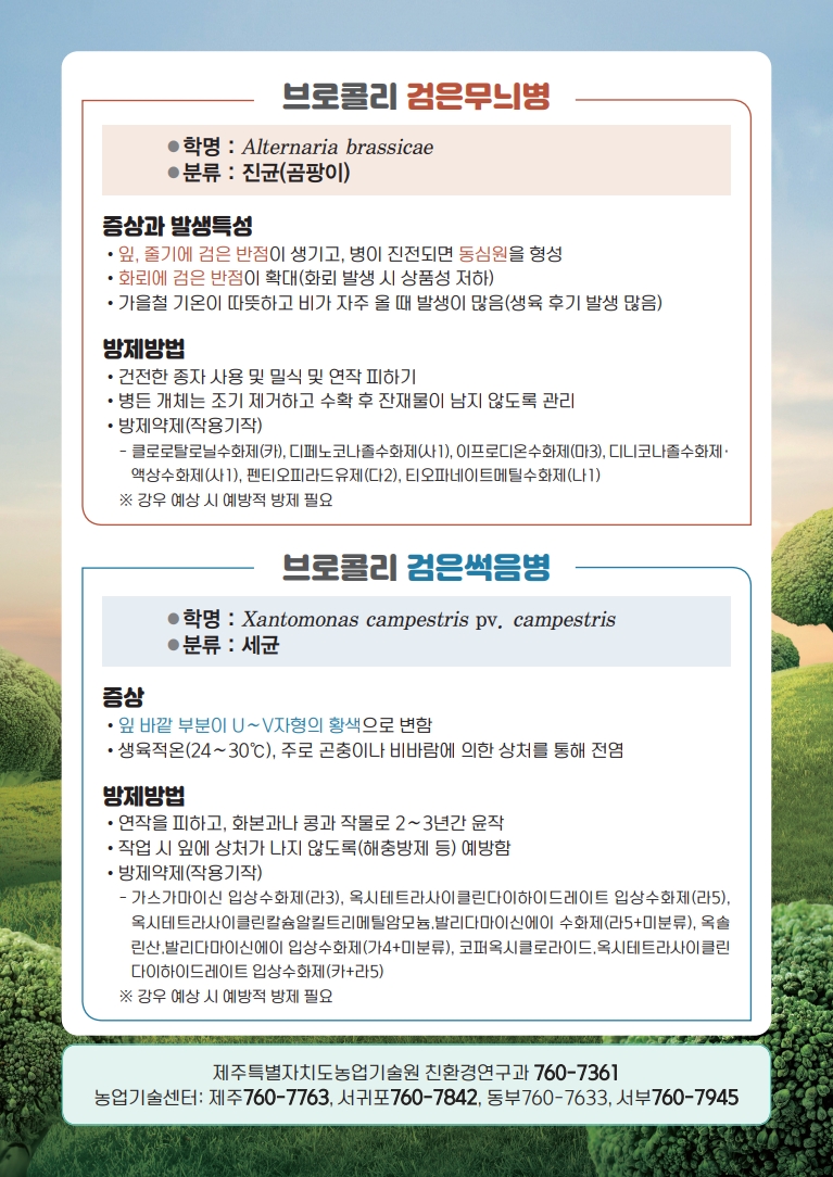 251014_수시_농업기술원_브로콜리 병해 리플릿 (2).jpg