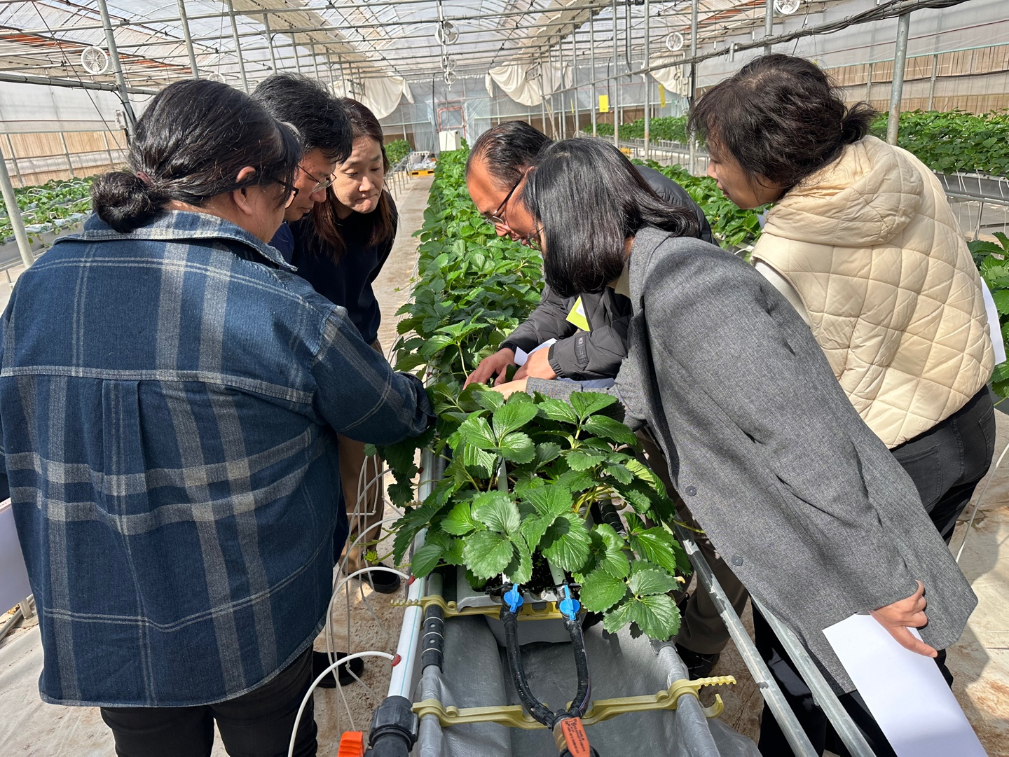 251107_수시_농업기술원_스마트농업기술 컨설팅 사진(11. 6.) (1).jpg