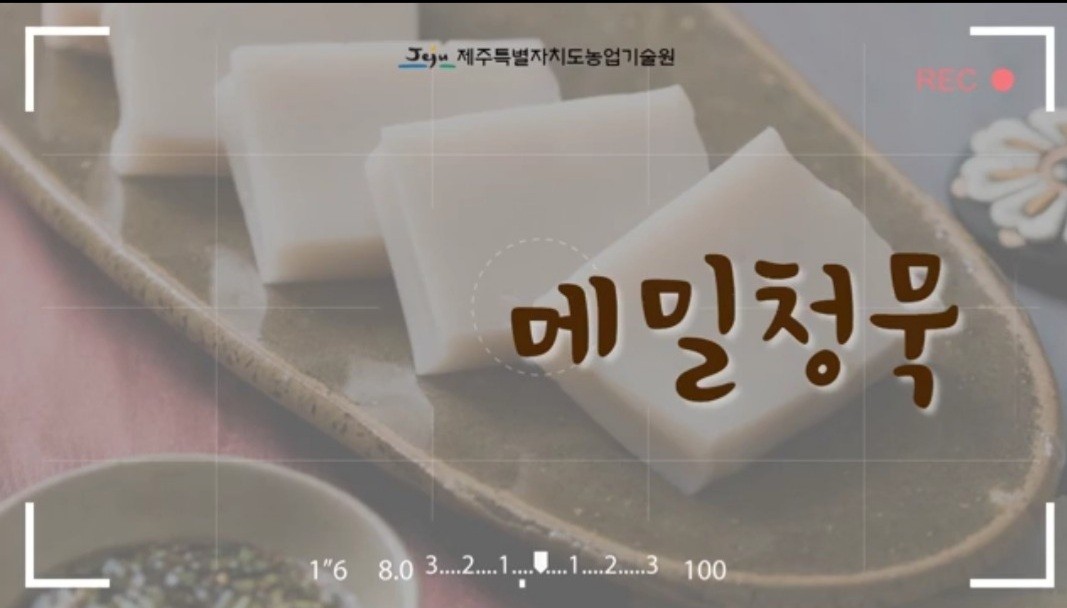 9월 향토음식 메밀청묵