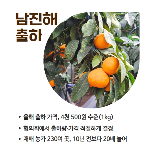 14.1분뉴스_남진해 4.jpg