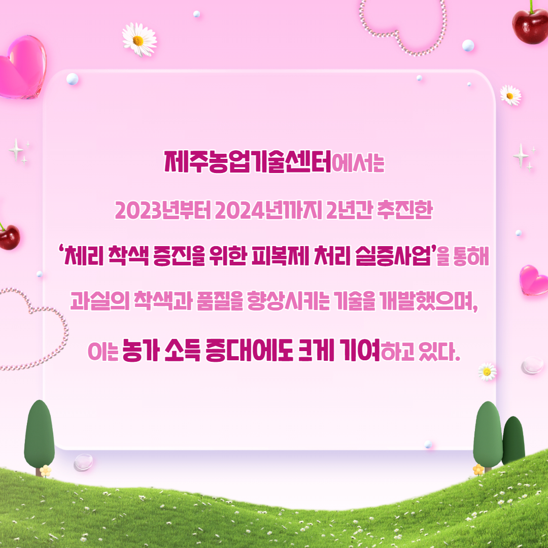 제주산 체리 출하 및 실증 결과 (4).jpg